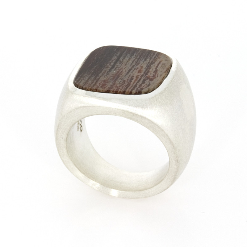 Ring Silber versteinertes Holz (1008329.1)